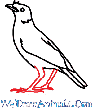 300x350 how to draw a mynah