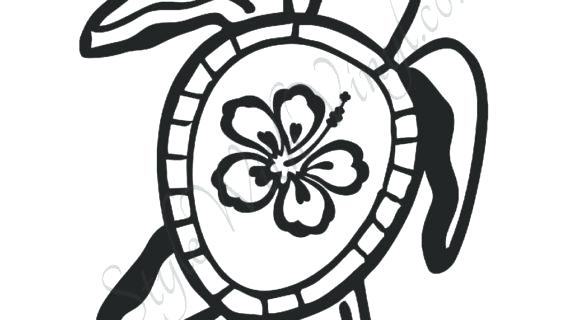 570x320 Easy Hawaiian Flowers To Draw