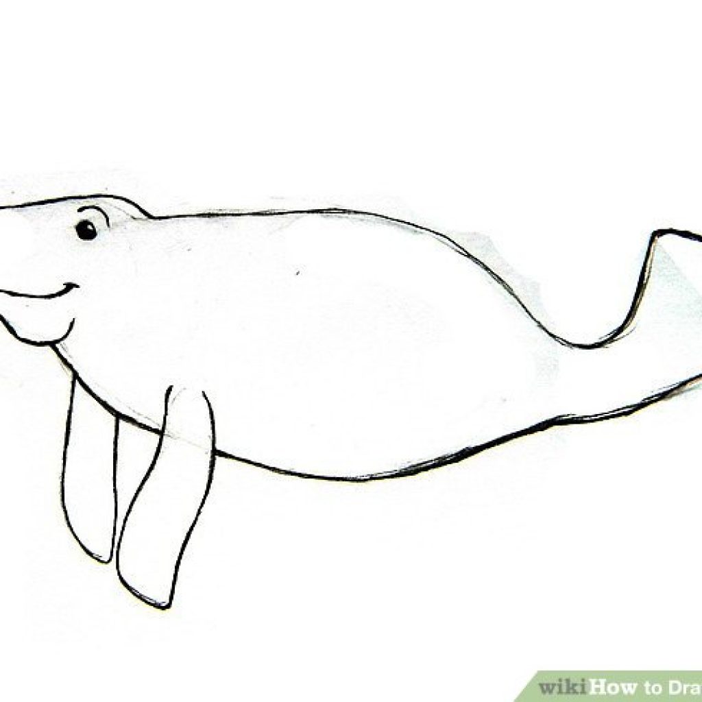 1024x1024 Manatee Drawing Of July Clipart House Clipart Online Download