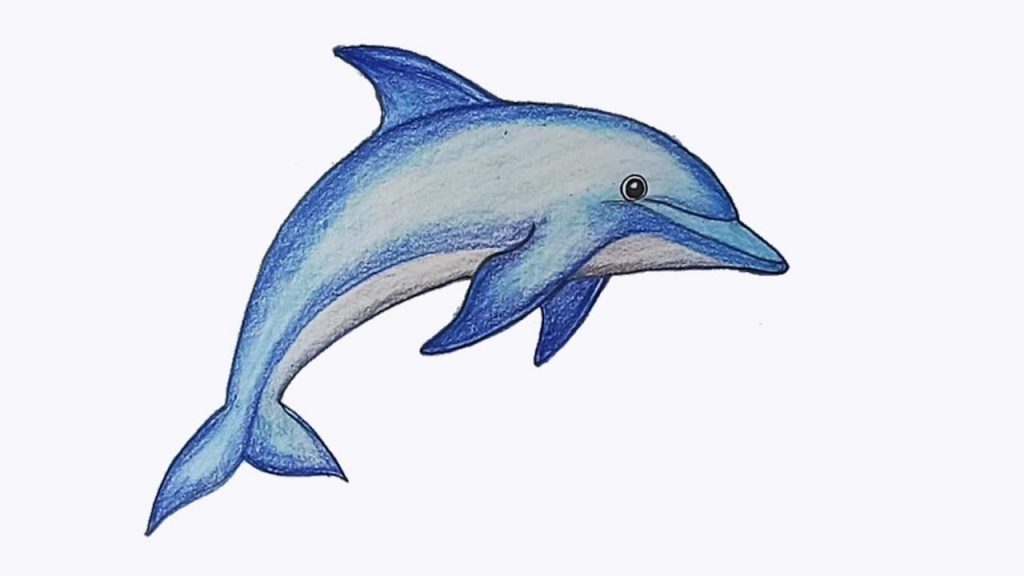 1024x576 Important Drawing Pictures Of Dolphins How To Draw Dolphin Step