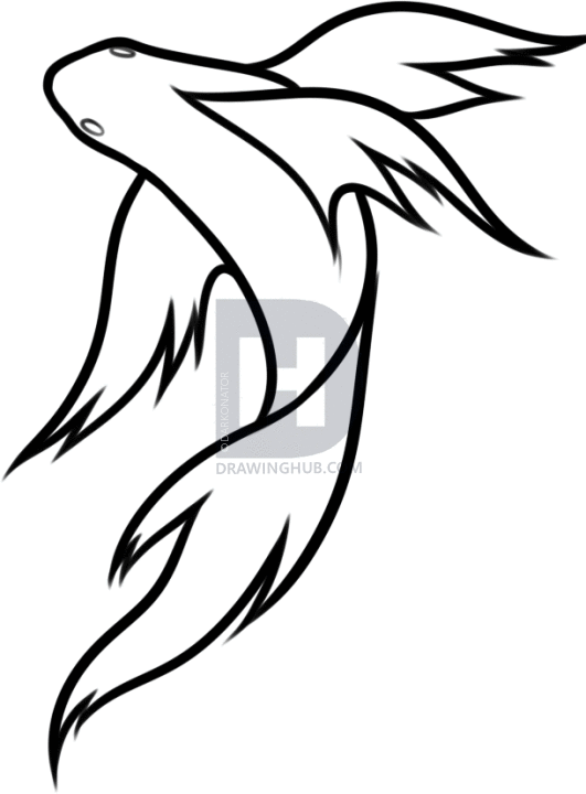 531x720 How To Draw A Fish, Step