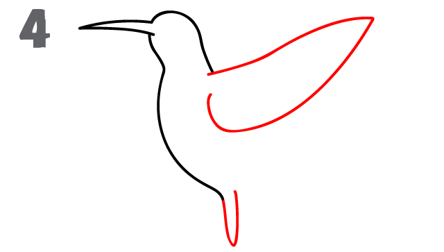 640x363 How To Draw A Hummingbird