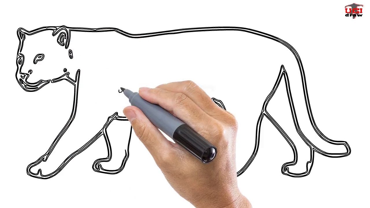 1280x720 How To Draw A Jaguar Easy Step