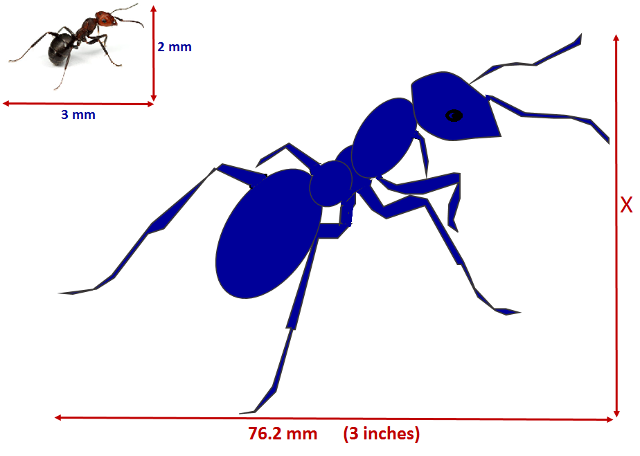924x659 Scale Drawing Ms Garcia Math