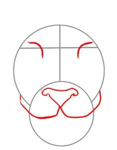 236x302 How To Draw A Tiger Face, Step