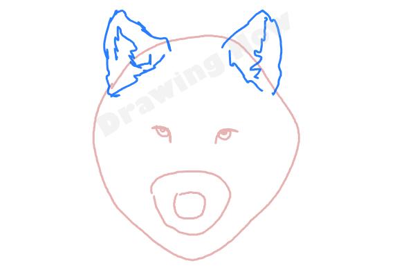 600x400 How To Draw A Wolf Face