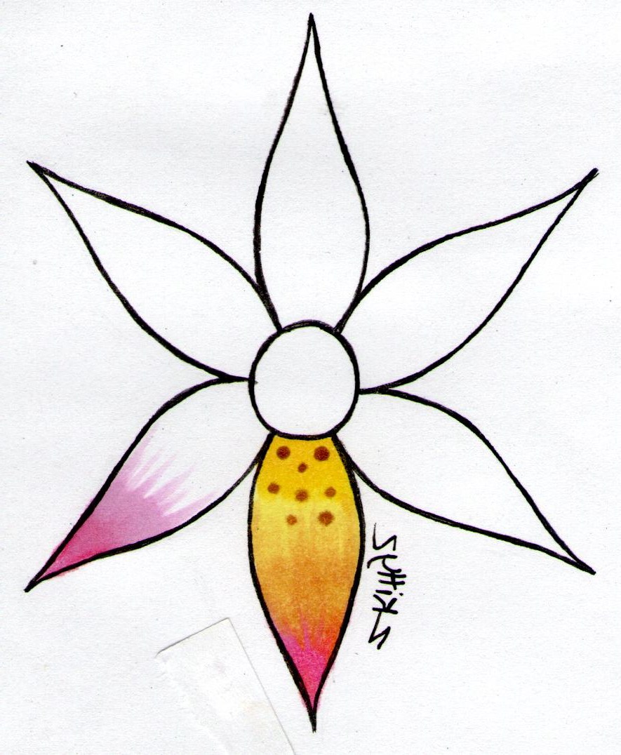 885x1076 Drawing A Beautiful Flower Step