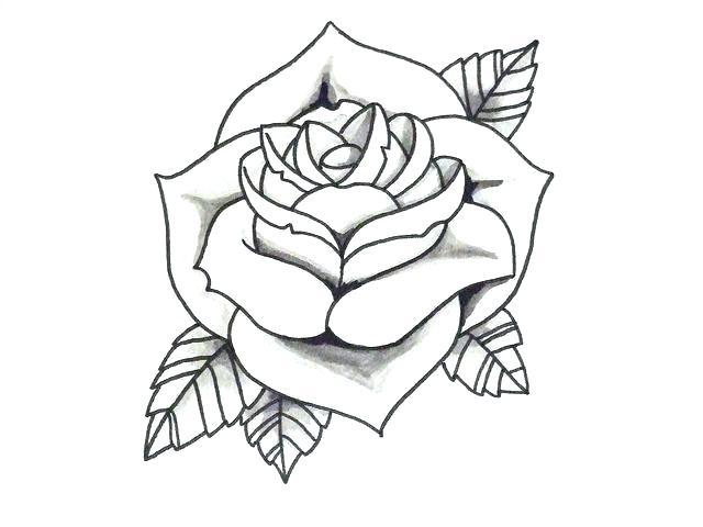 640x480 Easy Rose Drawing How To Draw A Easy Rose Easy Rose Drawing Photo
