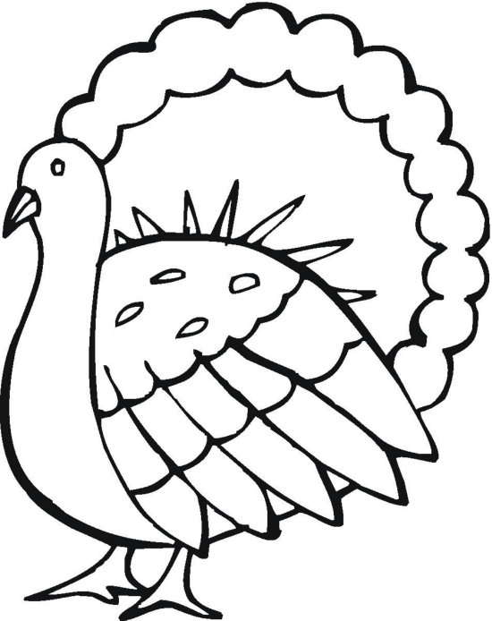 How To Make A Turkey Drawing