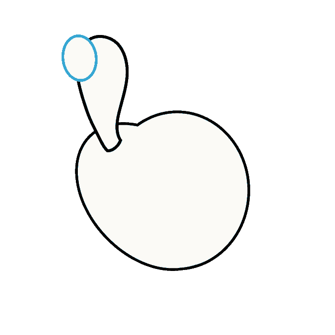 680x680 How To Draw A Cartoon Turkey In A Few Easy Steps Easy Drawing Guides