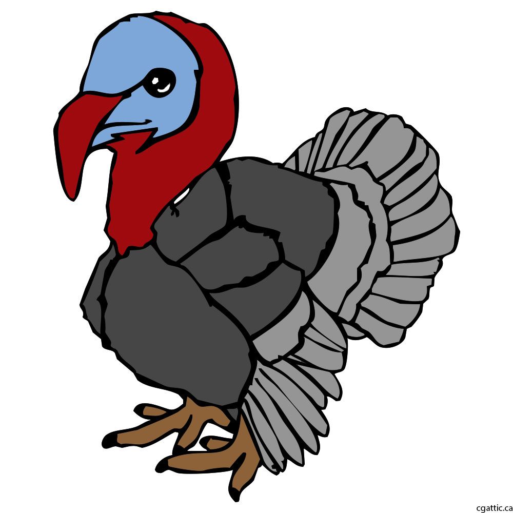 1000x1000 Turkey Cartoon Drawing In Steps With Photoshop The Digital Art