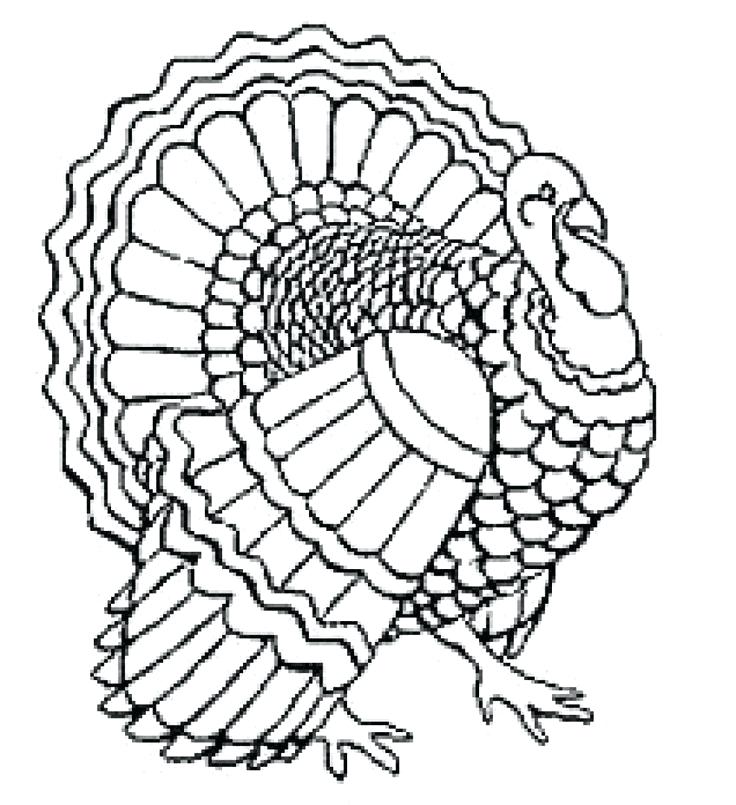 736x805 Drawing Of A Turkey Cute Turkey Drawing How To Draw A Cartoon