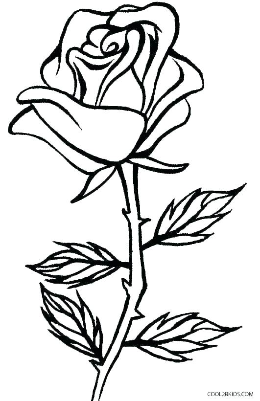 531x820 How To Draw Hearts With Roses Drawn Easy To Draw Hearts And Roses