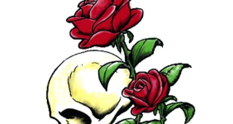 900x480 drawing roses how to draw roses how to draw roses drawing flowers