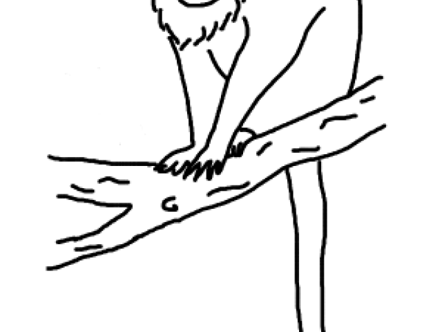 640x480 Free Howler Monkey Clipart, Download Free Clip Art