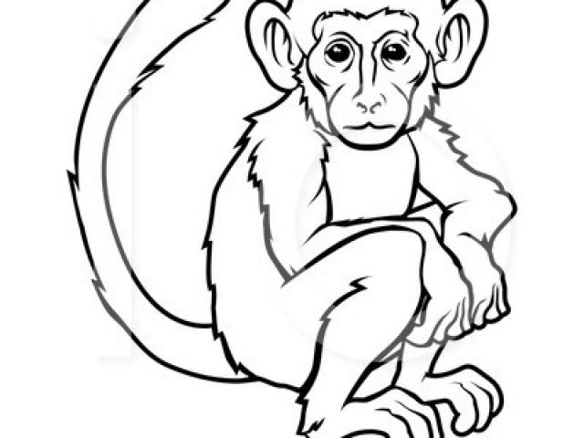 640x480 Free Howler Monkey Clipart Spider, Download Free Clip Art