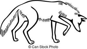 300x169 coyote stock illustrations coyote clip art images