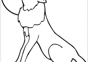 300x210 Drawing Of A Coyote