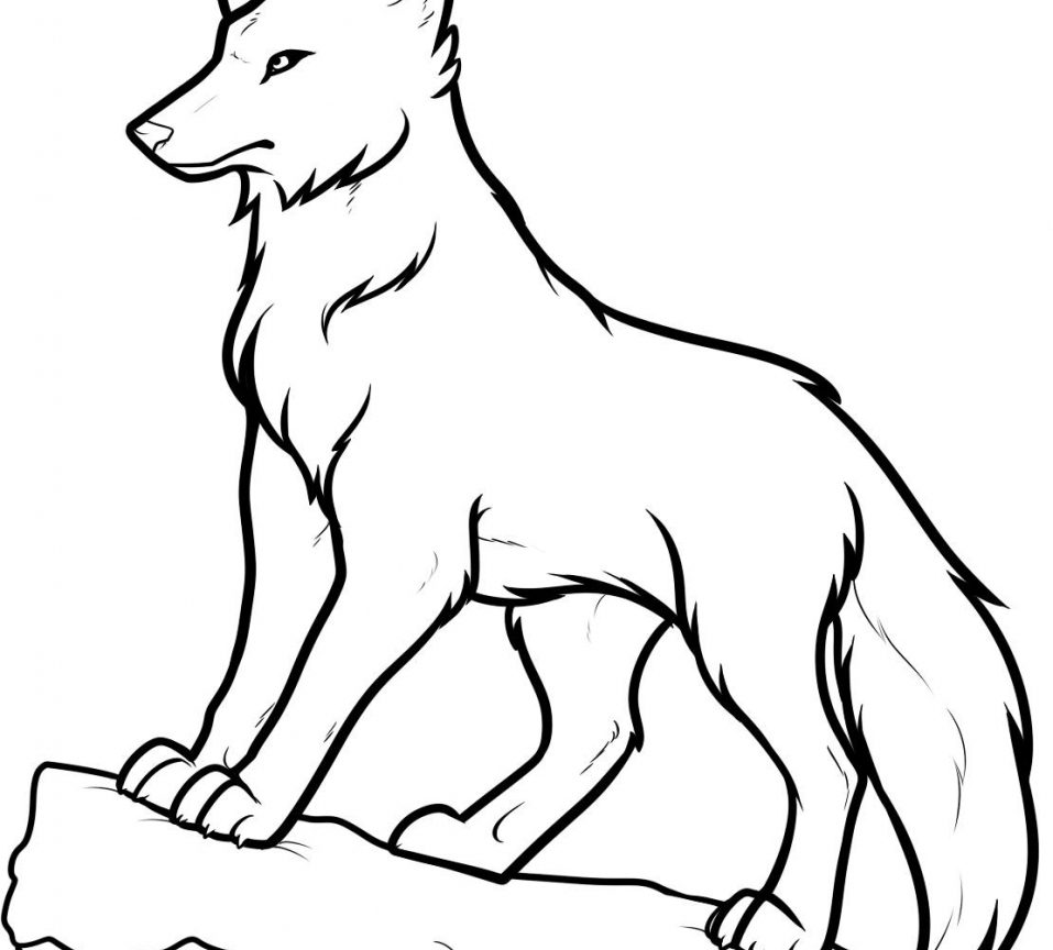 957x864 Wolf Drawings Simple Girl Draw Tumblr Anime With Color Drawing