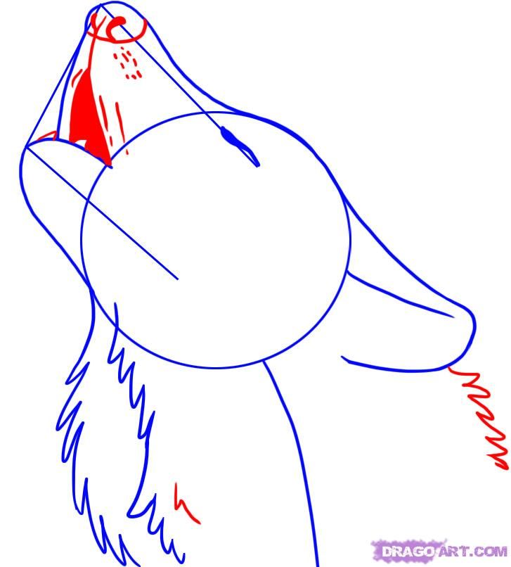 727x806 How To Draw A Howling Wolf Step Drawing Wolf Painting