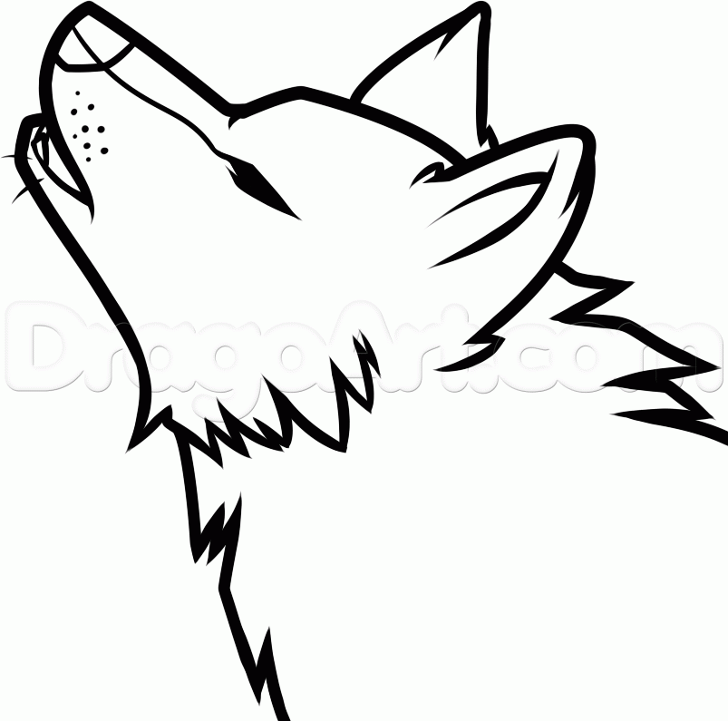 803x795 How To Draw A Howling Wolf Easy, Step