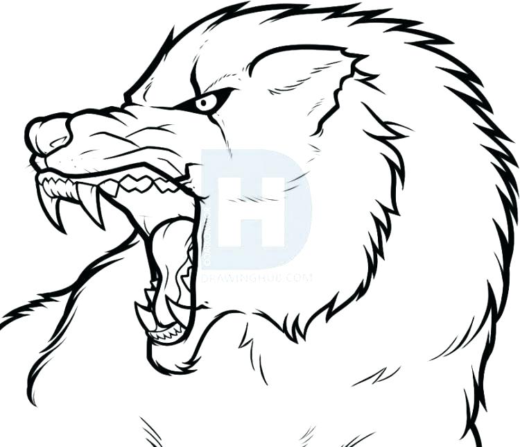 Howling Wolf Head Drawing | Free download on ClipArtMag