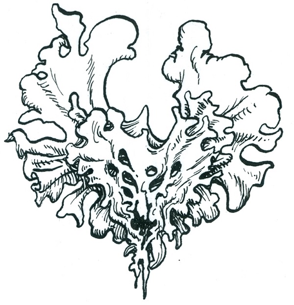 600x623 H P Lovecrafts Birthday In August My Backyard News