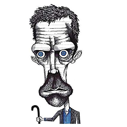 425x425 pvc sticker hugh laurie