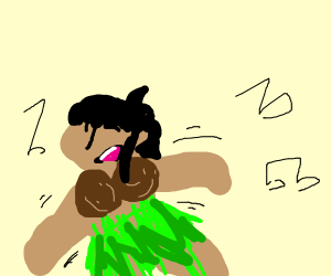 300x250 Hula Dancing