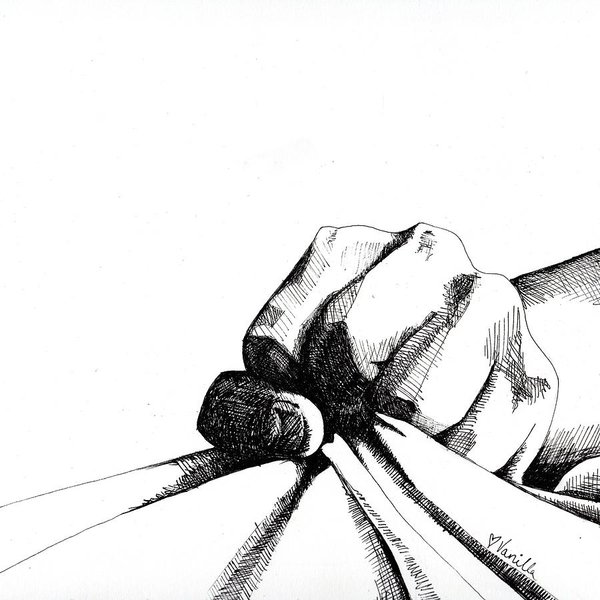 600x600 Human Anatomy Drawings