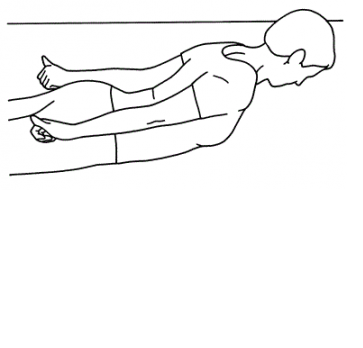 363x348 Collection Of Free Drawing Shoulders Shoulder Blade Download On Ui Ex