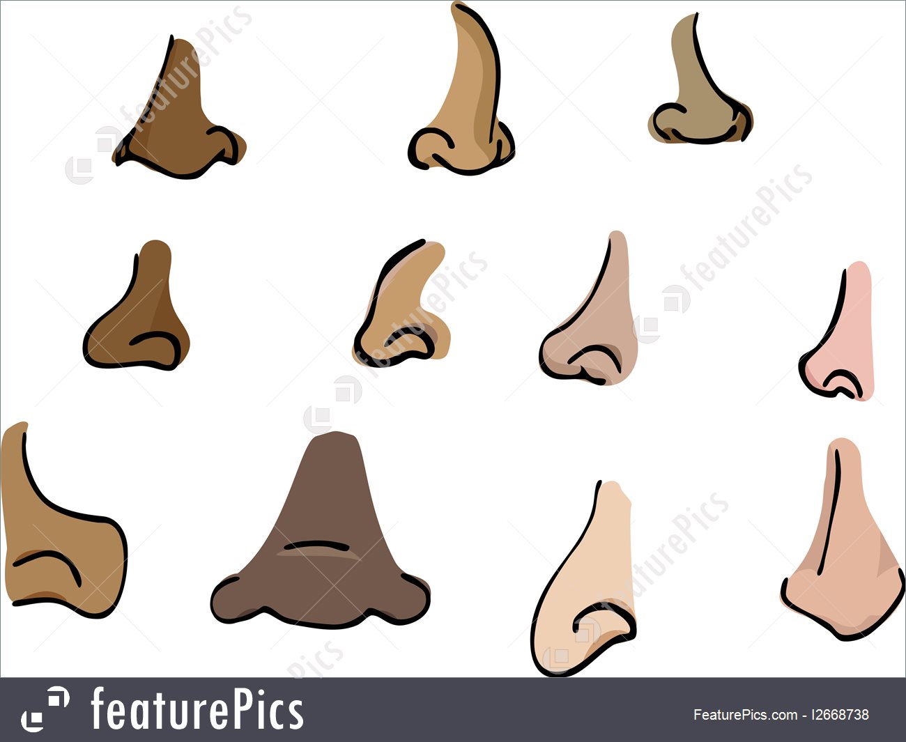 1300x1065 Human Body Parts Noses I