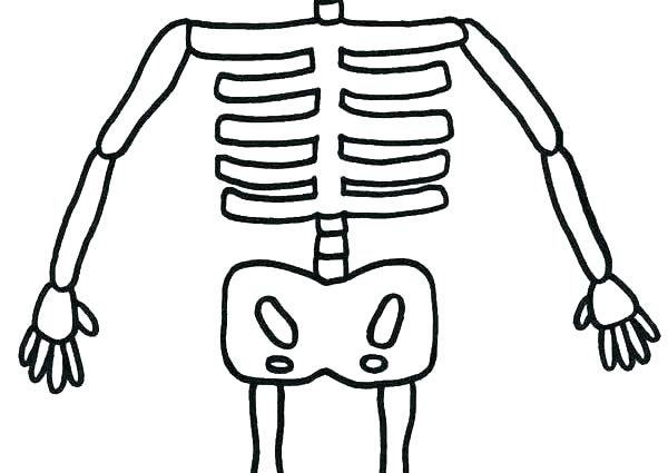 600x425 Human Skeleton Coloring Pages Printable For Preschoolers Colouring