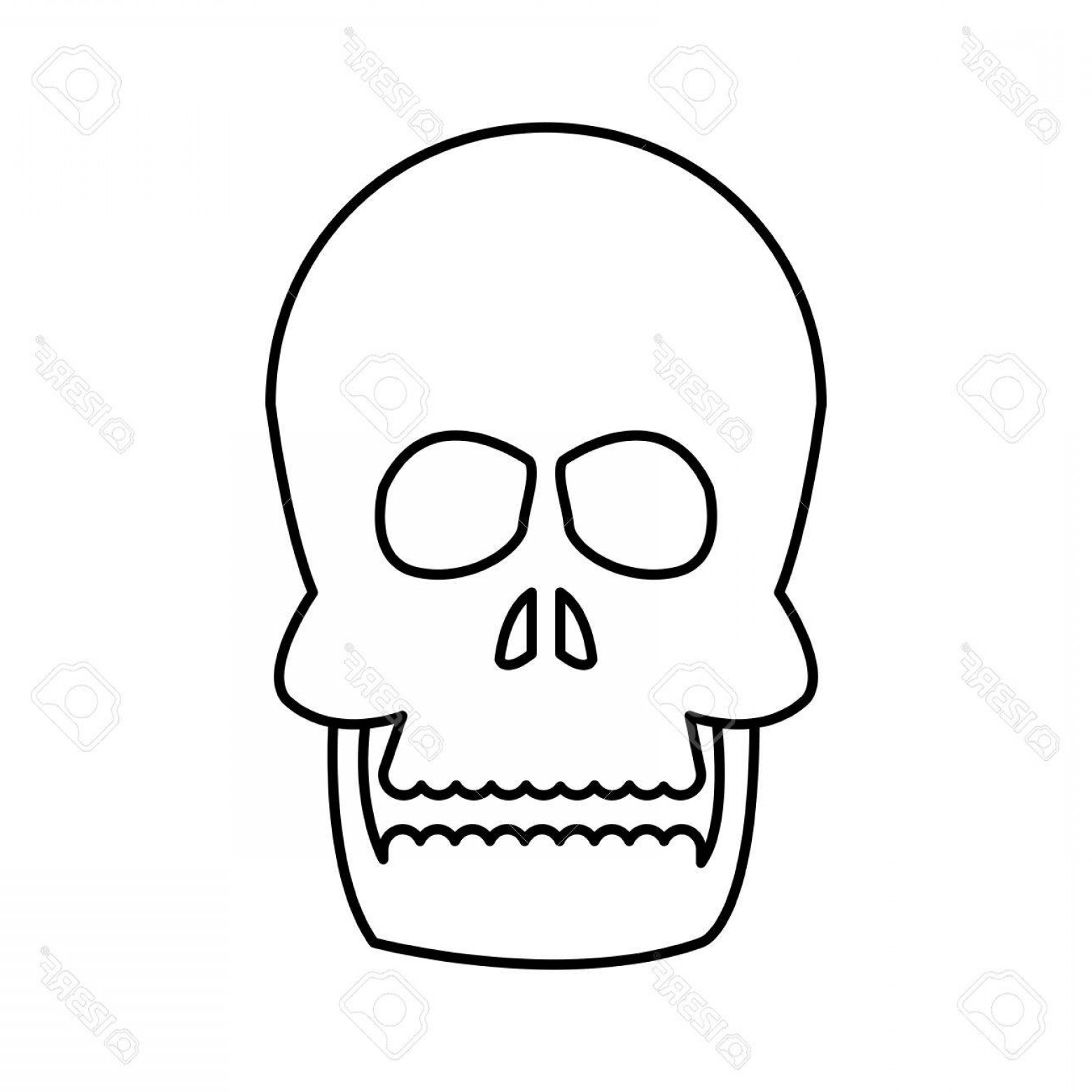 1560x1560 Line Art Human Body Skeleton Labeled Bones Of The Vector Studiogrfx