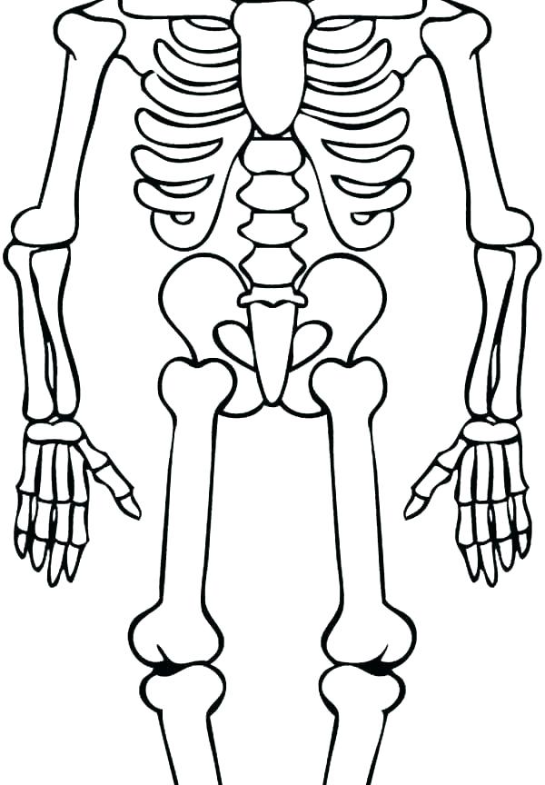 600x864 Skeletons Coloring Pages Skeleton Head For Kids Flowers Christmas