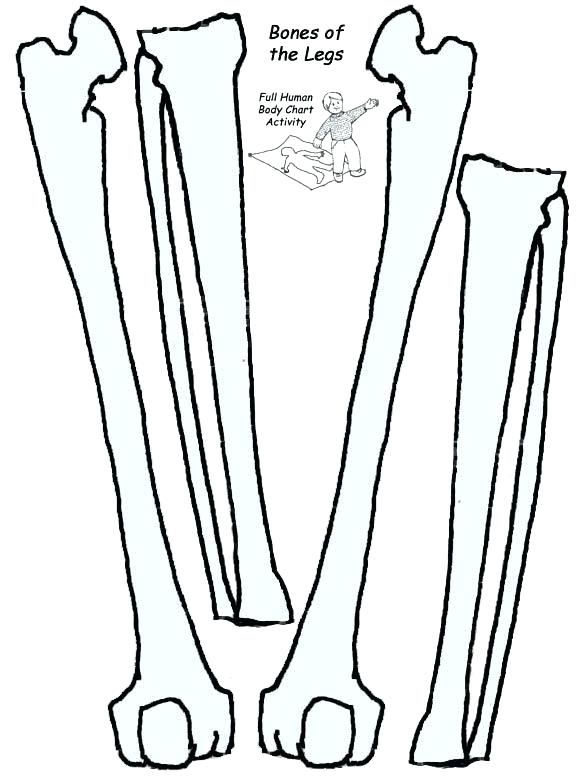 578x782 Skeleton Cut Out Template