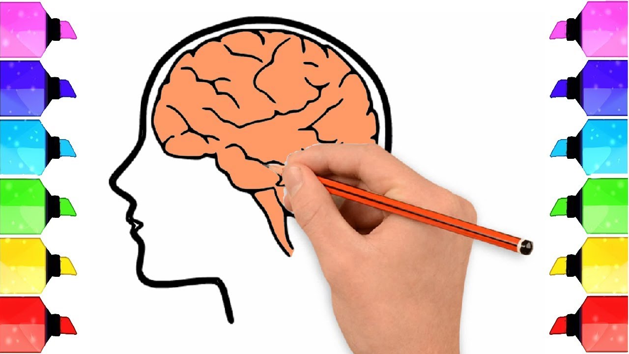 1280x720 How To Draw A Brain