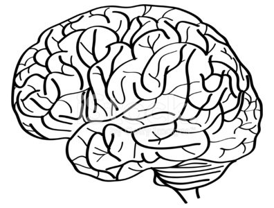 396x300 Human Brain Vector Outline Sketched Stock Vectors