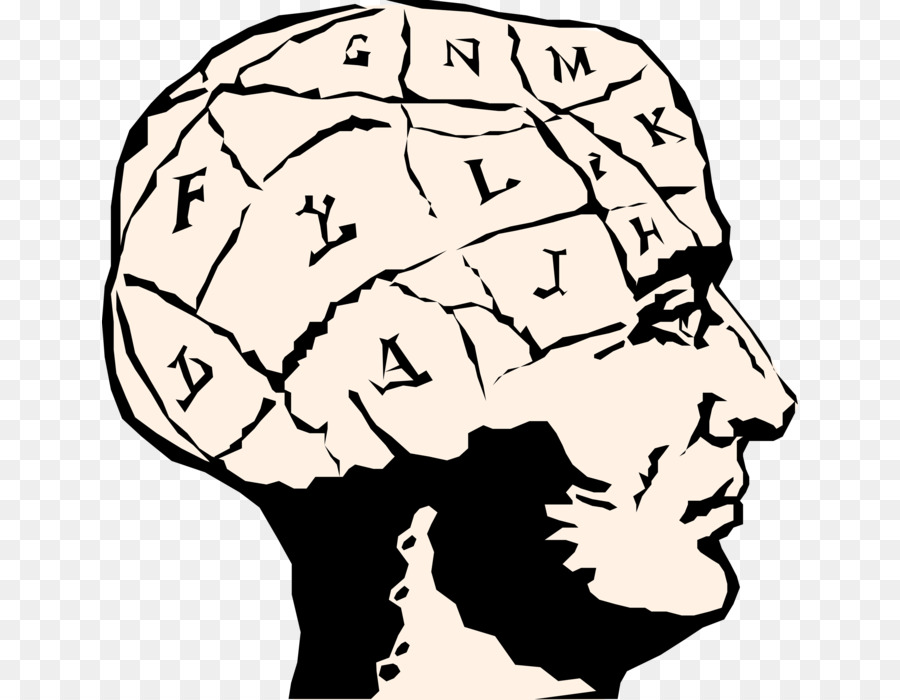 900x700 Human Brain Clip Art Vector Graphics