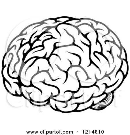 450x470 Brain Clipart Drawing Clip Art Images