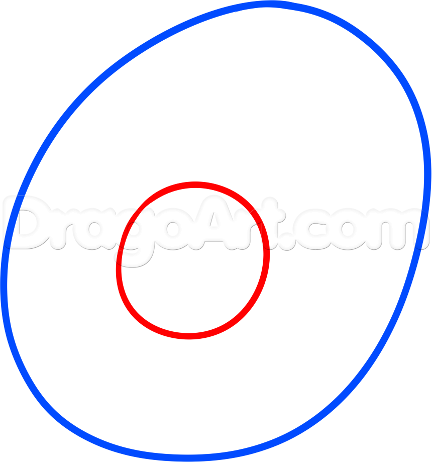 860x919 How To Draw A Cell, Step