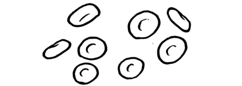 500x178 Natural Sciences Grade