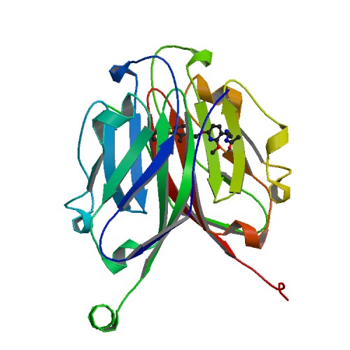 500x500 Rcsb Pdb