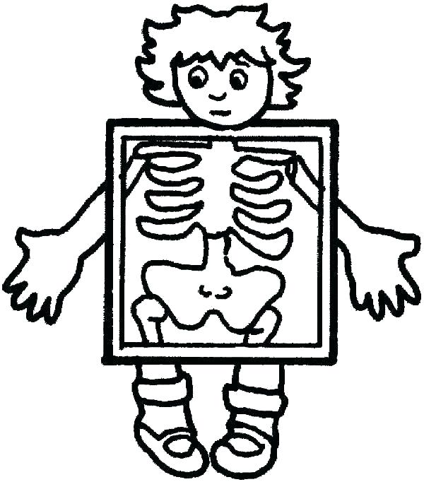 600x682 Body Systems Coloring Pages Digestive System