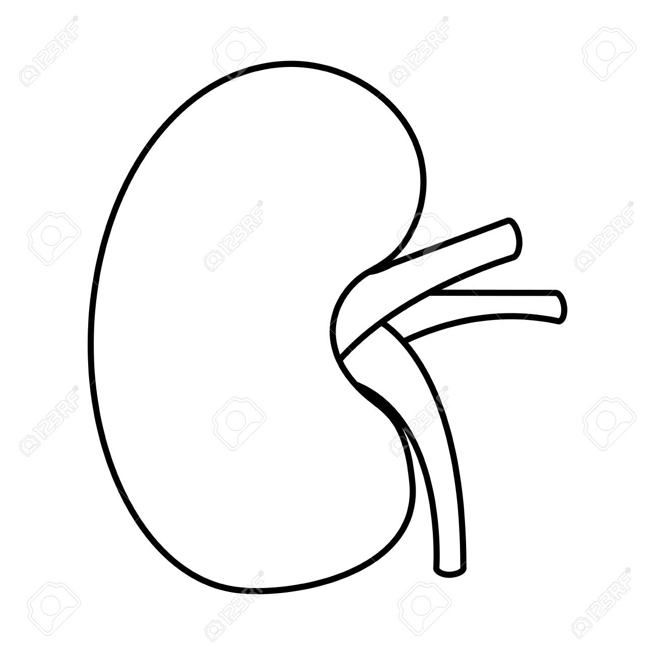 1300x1300 Human Outline Clipart