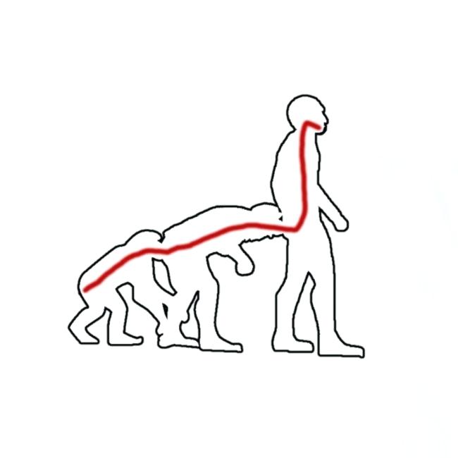 650x650 human outline pictures clip art body drawings gallery human human