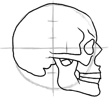 369x330 How To Draw A Skull Side View