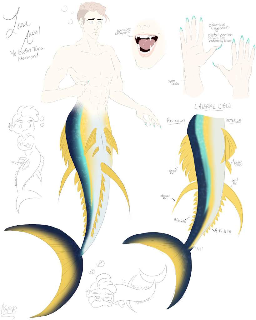 819x1024 Yellowfin Tuna Mer!leon