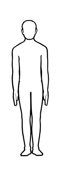 Human Drawing Template | Free download on ClipArtMag