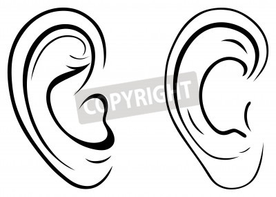 400x285 Drawing Human Ear Peintures Murales Tableaux Sensoriel, Externe